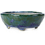 Pot à bonsaï ovale bleu et vert par Bunzan - 146 x 125 x 50 mm