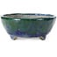 Vaso per bonsai ovale blu con verde di Bunzan - 146 x 125 x 50 mm