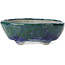 Pot à bonsaï ovale bleu et vert par Bunzan - 146 x 125 x 50 mm
