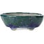 Vaso per bonsai ovale blu con verde di Bunzan - 146 x 125 x 50 mm