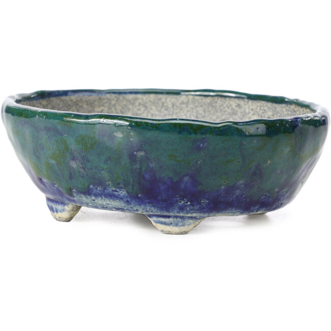 Vaso per bonsai ovale blu con verde di Bunzan - 146 x 125 x 50 mm