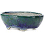 Pot à bonsaï ovale bleu et vert par Bunzan - 146 x 125 x 50 mm