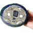 Pot à bonsaï ovale bleu et vert par Bunzan - 146 x 125 x 50 mm