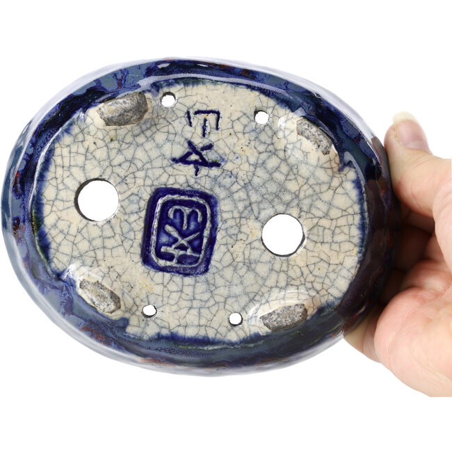 Vaso per bonsai ovale blu di Bunzan - 140 x 111 x 40 mm