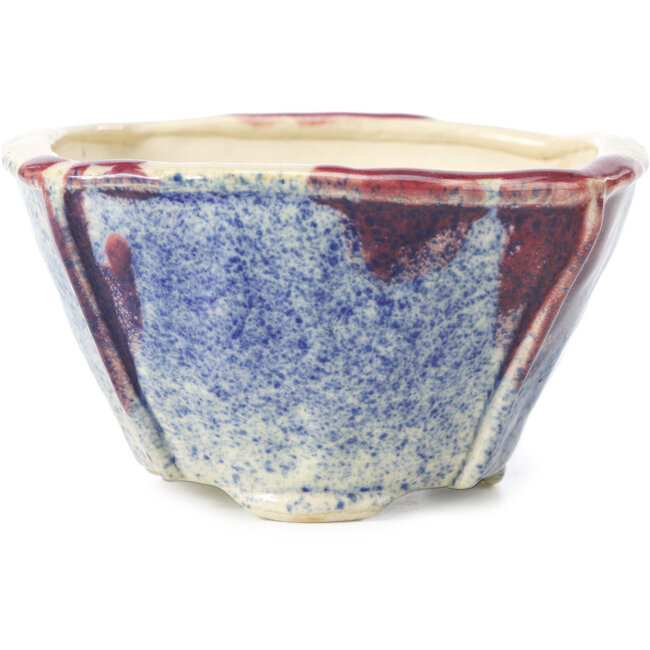 Maceta de bonsái cuadrada multicolor de Bonsai - 120 x 120 x 65 mm