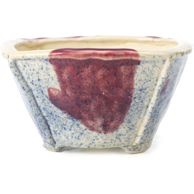 Vaso per bonsai quadrato multicolore di Bonsai - 120 x 120 x 65 mm