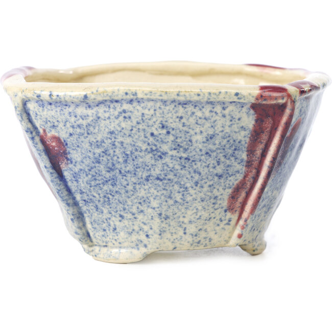 Vaso per bonsai quadrato multicolore di Bonsai - 120 x 120 x 65 mm