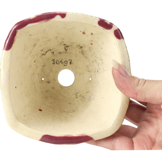 Square multicolor bonsai pot by Bonsai - 120 x 120 x 65 mm