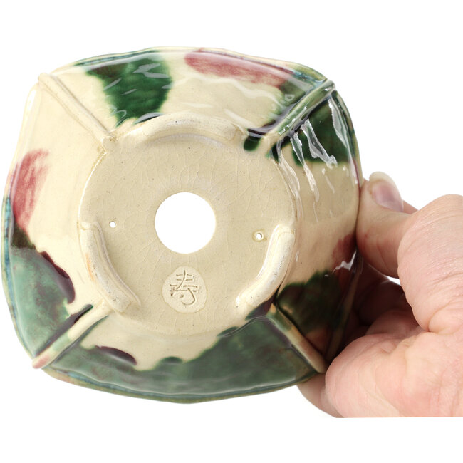 Vaso per bonsai quadrato multicolore di Bonsai - 120 x 120 x 65 mm