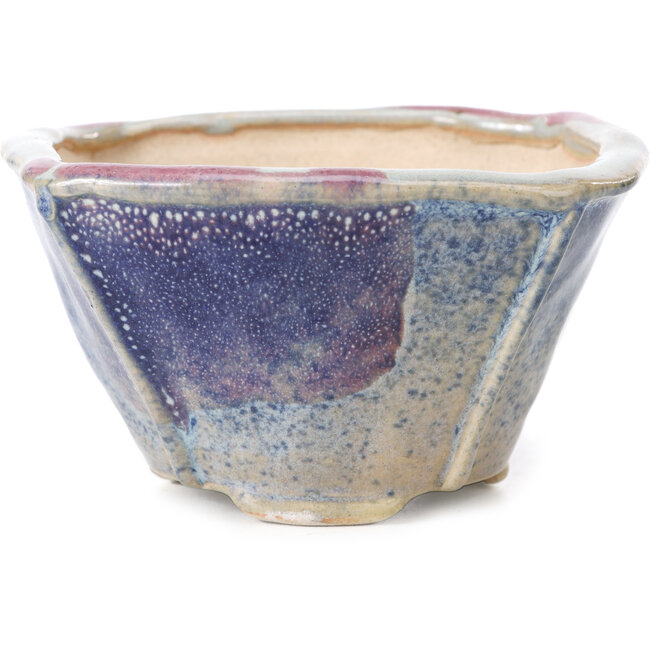 Vaso per bonsai quadrato multicolore di Bonsai - 120 x 120 x 65 mm