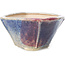 Square multicolor bonsai pot by Bonsai - 120 x 120 x 65 mm