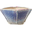 Square multicolor bonsai pot by Bonsai - 120 x 120 x 65 mm