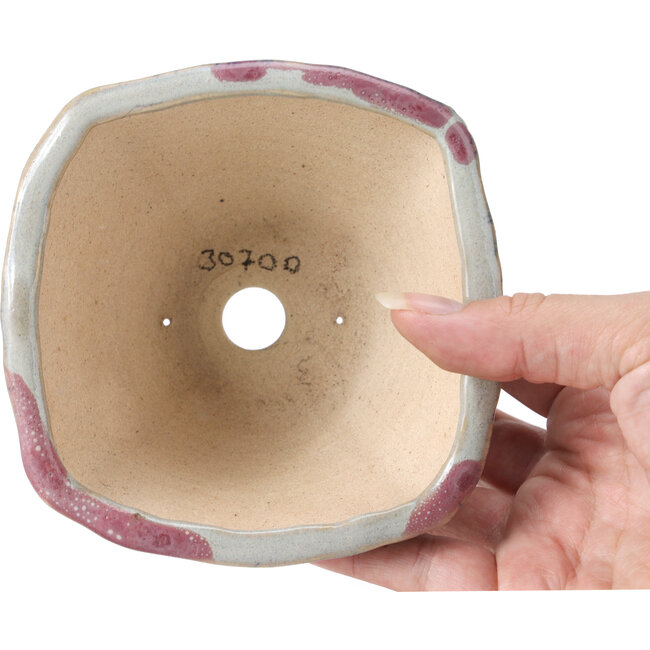 Vaso per bonsai quadrato multicolore di Bonsai - 120 x 120 x 65 mm