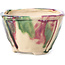 Vaso bonsai quadrato multicolor di Bonsai - 112 x 110 x 70 mm