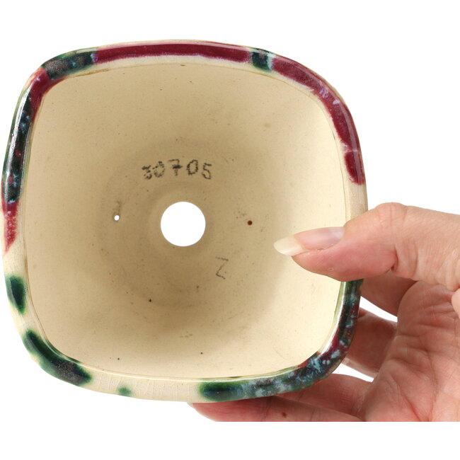 Vaso bonsai quadrato multicolor di Bonsai - 112 x 110 x 70 mm