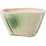 Square multicolor bonsai pot by Bonsai - 112 x 112 x 62 mm