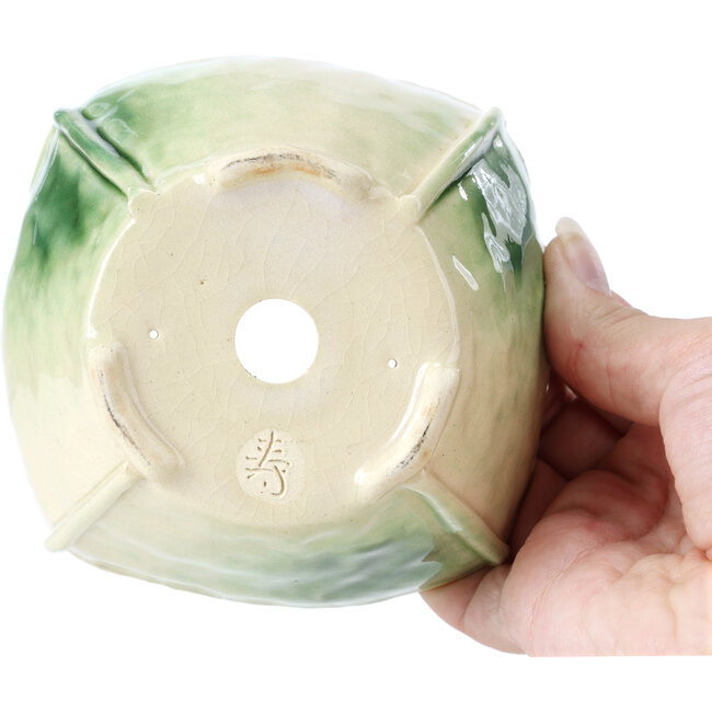 Pot à bonsaï carré multicolore par Bonsai - 112 x 112 x 62 mm