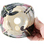Pot à bonsaï carré multicolore par Bonsai - 112 x 112 x 73 mm