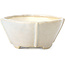 Pot à bonsaï carré par Bonsai - 112 x 112 x 58 mm