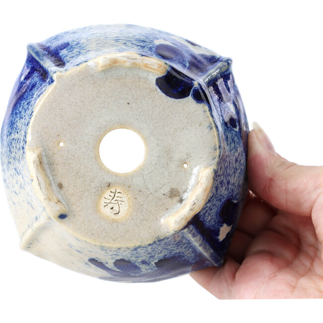 Vaso per bonsai quadrato multicolore di Bonsai - 115 x 112 x 60 mm