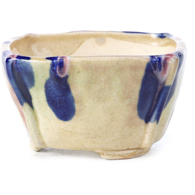 Square multicolor bonsai pot by Bonsai - 78 x 78 x 45 mm