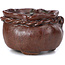Pot à bonsaï rond marron par Bonsai - 65 x 65 x 40 mm