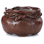 Pot à bonsaï rond marron par Bonsai - 65 x 65 x 40 mm