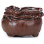 Pot à bonsaï rond marron par Bonsai - 65 x 65 x 40 mm