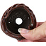 Pot à bonsaï rond marron par Bonsai - 65 x 65 x 40 mm