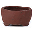 Round unglazed bonsai pot by Bonsai - 60 x 60 x 32 mm