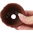 Maceta de bonsái redonda sin esmaltar de Bonsai - 70 x 65 x 40 mm