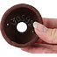Maceta de bonsái redonda sin esmaltar de Bonsai - 60 x 60 x 32 mm