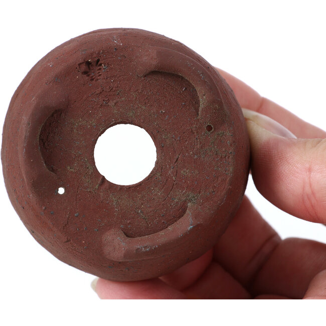 Round unglazed bonsai pot by Bonsai - 60 x 60 x 32 mm