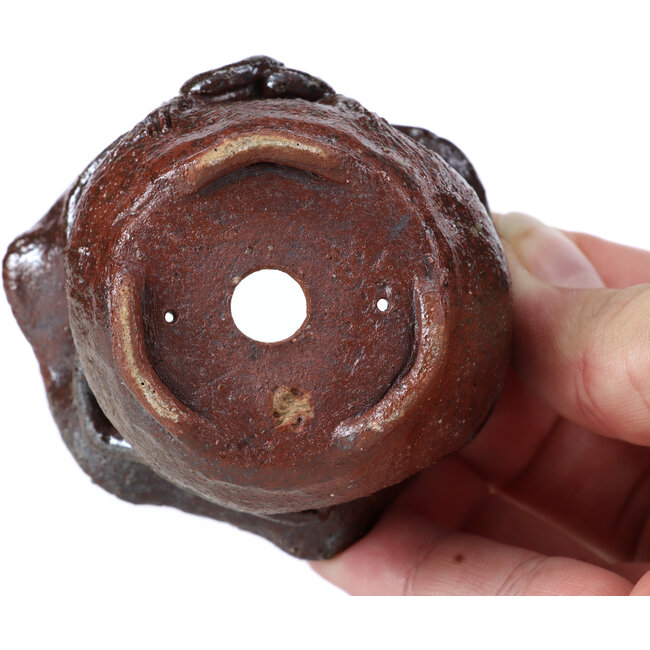 Round brown bonsai pot by Bonsai - 70 x 67 x 40 mm