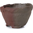 Pot à bonsaï rond non émaillé par Bonsai - 65 x 63 x 38 mm
