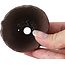Maceta de bonsái redonda sin esmaltar de Bonsai - 65 x 63 x 38 mm