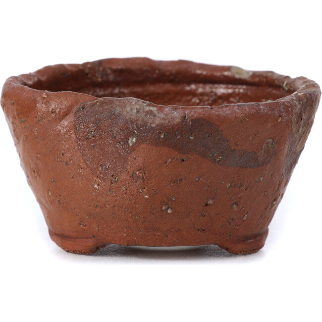 Maceta de bonsái redonda marrón de Bonsai - 70 x 70 x 40 mm