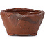 Runde braune Bonsaischale von Bonsai - 70 x 70 x 40 mm