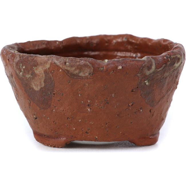 Round brown bonsai pot by Bonsai - 70 x 70 x 40 mm