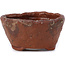 Round brown bonsai pot by Bonsai - 70 x 70 x 40 mm