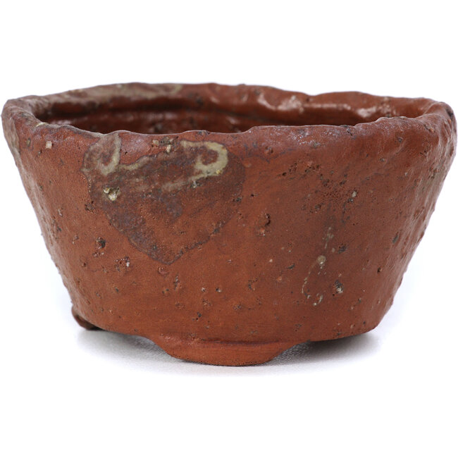 Vaso bonsai rotondo marrone di Bonsai - 70 x 70 x 40 mm