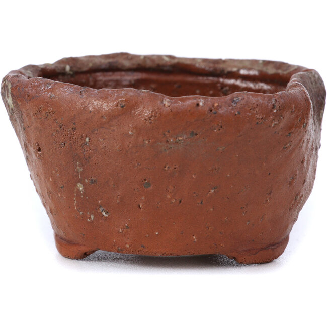 Round brown bonsai pot by Bonsai - 70 x 70 x 40 mm