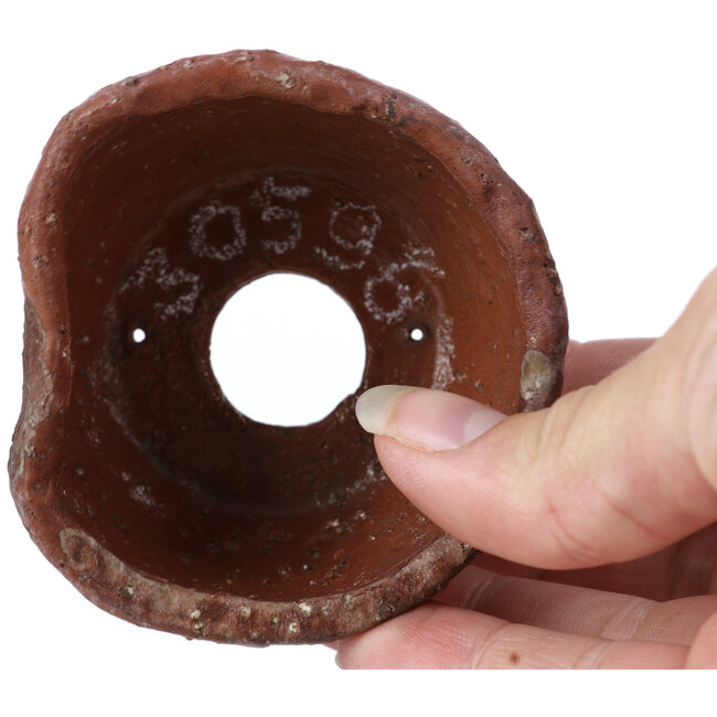 Pot à bonsaï rond marron par Bonsai - 70 x 70 x 40 mm