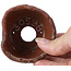 Pot à bonsaï rond marron par Bonsai - 70 x 70 x 40 mm