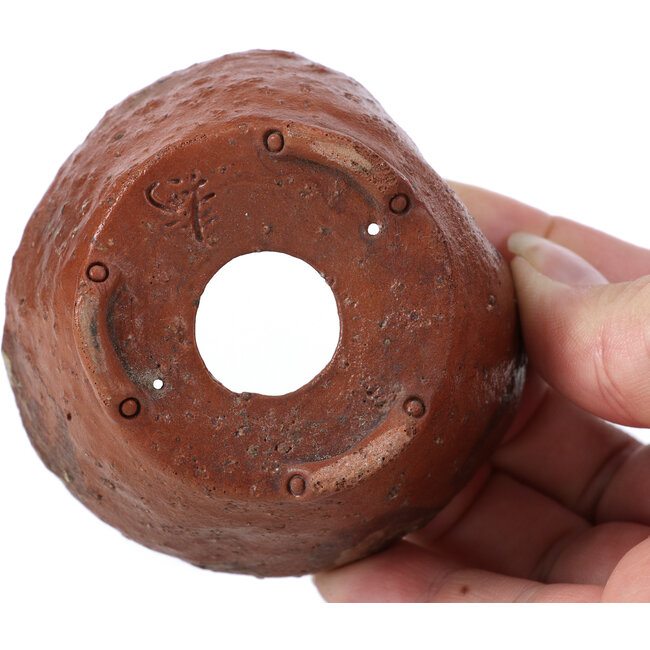 Round brown bonsai pot by Bonsai - 70 x 70 x 40 mm