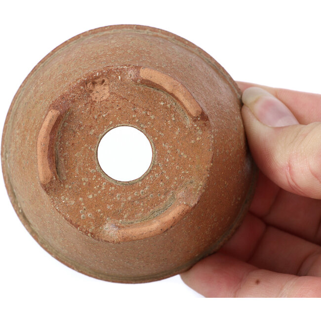 Round brown bonsai pot by Bonsai - 72 x 72 x 40 mm