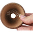 Ronde bruine bonsaipot van Bonsai - 70 x 70 x 40 mm