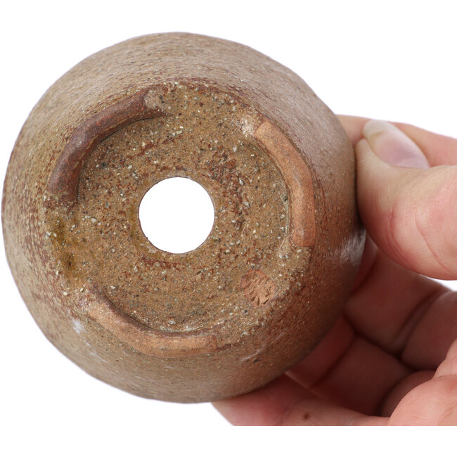 Pot à bonsaï rond marron par Bonsai - 70 x 70 x 40 mm