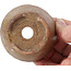 Pot à bonsaï rond marron par Bonsai - 70 x 70 x 40 mm