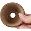 Pot à bonsaï rond marron par Bonsai - 68 x 68 x 45 mm